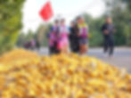 Ultra-endurance runner Jo Lodder running alongside student participants during the 3,140-kilometer RunChina expedition from the Great Wall to Hong Kong.
