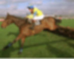 Jo Lodder winning on Saint Ciel at Haydock Park Racecourse, representing his career as a professional jockey and the origins of his high-performance resilience.