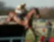 Jo Lodder "flying the last" fence in a professional steeplechase, demonstrating high-stakes performance and professional jockey courage.