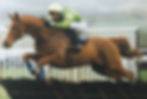 Jockey on chestnut horse jumping a hurdle in a race.
