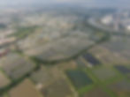 San Tin wetlands, Hong Kong, wetlands, biodiversity, ecosystem, birdwatching, nature conservation, environmental protection, wildlife habitat, water purification, climate change, sustainable development.